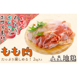 土佐はちきん地鶏もも肉 ２kg