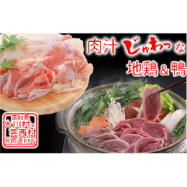はちきん地鶏モモ肉 1kg＆ 土佐鴨鴨鍋用肉セット