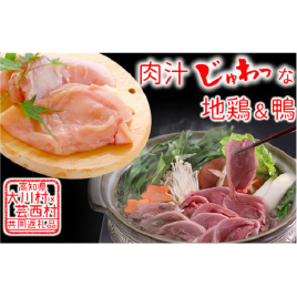 はちきん地鶏ムネ肉 1kg＆ 土佐鴨鴨鍋用肉セット