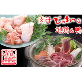 はちきん地鶏まるごと一羽 おためしセット約1kg＆ 土佐鴨鴨鍋用肉セット