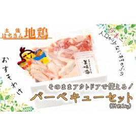 土佐はちきん地鶏 バーベキューセット