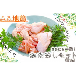 土佐はちきん地鶏まるごと 一羽おためしセット 約1kg
