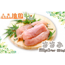 土佐はちきん地鶏ささみ 1kg