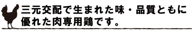 三元個配で生まれた味・品質ともに優れた肉専用鶏です。
