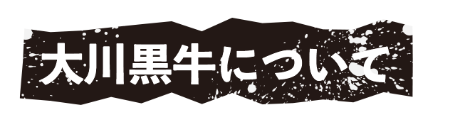 大川黒牛について