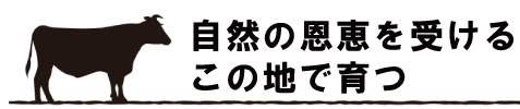 自然の恩恵を受けるこの地で育つ