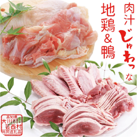 土佐はちきん地鶏もも肉＆ 土佐鴨ロース鍋セット